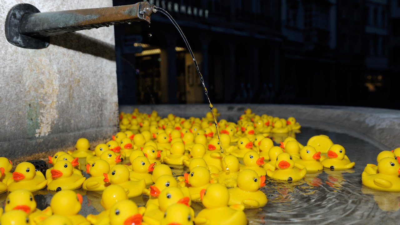 Kreis Wasser Guerilla Aktion Stadt St.Gallen