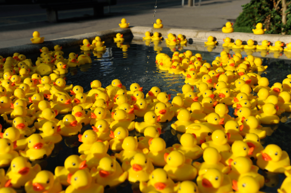 Kreis Wasser Guerilla Aktion zum 100 Jahr Jubilaeum