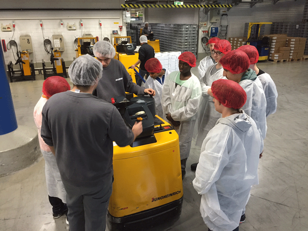 Mosaik Agentur Verein Triebwerk Impressionen Berufsbesichtigungen